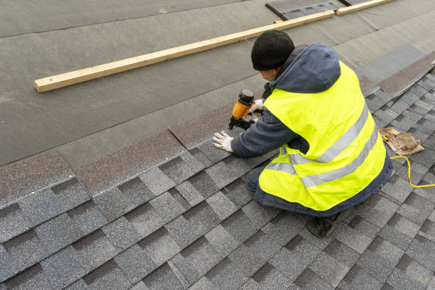 Best Roof Maintenance Services  in Bellevue, PA
